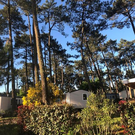 Mobile Home - Les Dunes De Contis 波讷地区圣朱利安 外观 照片