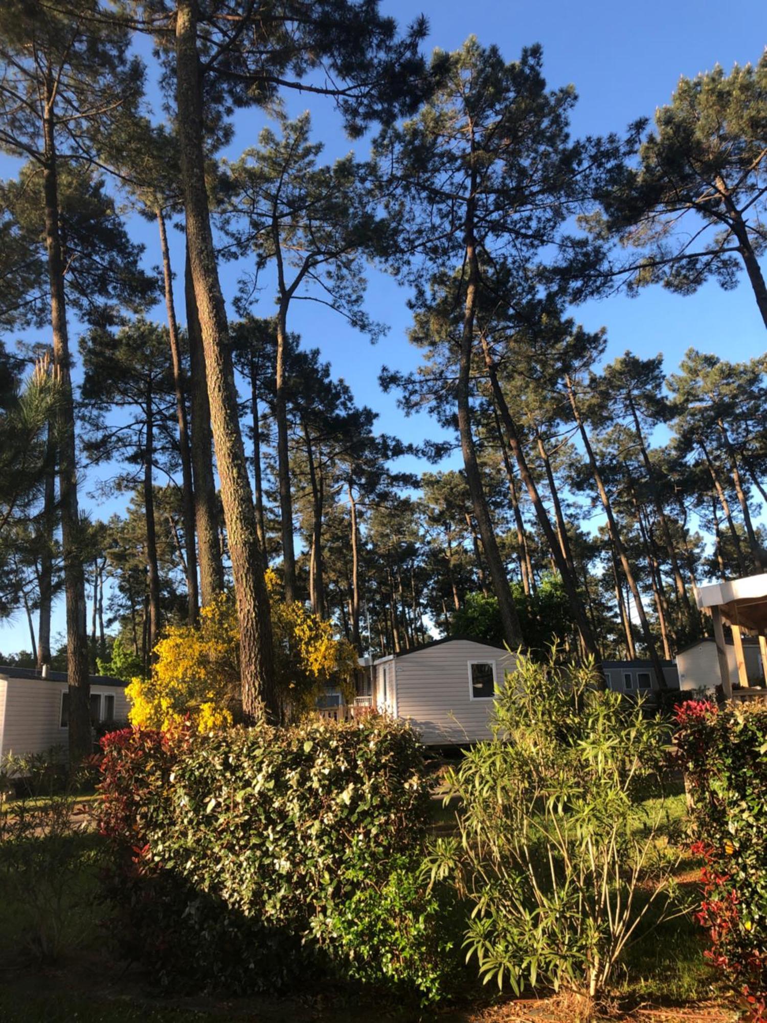 Mobile Home - Les Dunes De Contis 波讷地区圣朱利安 外观 照片